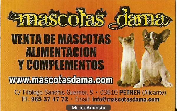 venta de mascotas , alimentacion y complementos.