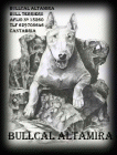 bull terrier - mejor precio | unprecio.es