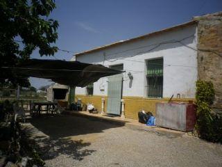 Finca/Casa Rural en venta en Catral, Alicante (Costa Blanca)