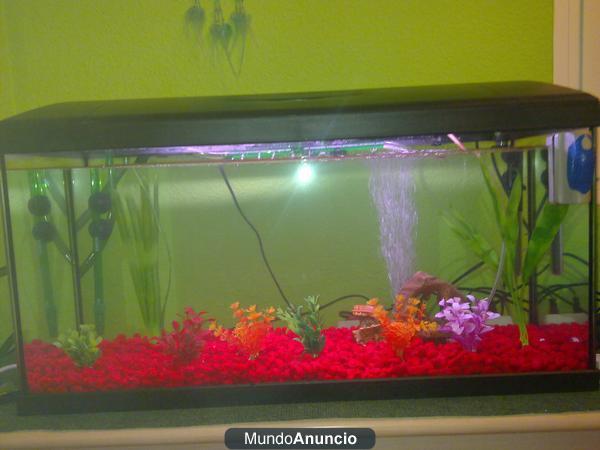 Acuario 120L