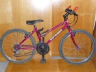 BICICLETA DE MONTAÑA (CASI NUEVA) - mejor precio | unprecio.es