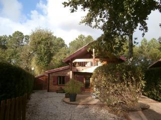 Chalet : 4/6 personas - piscina - arcachon  francia