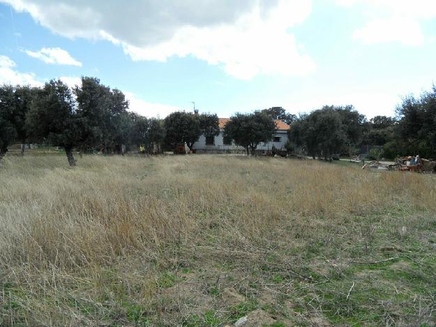 Finca rústica en Colmenarejo