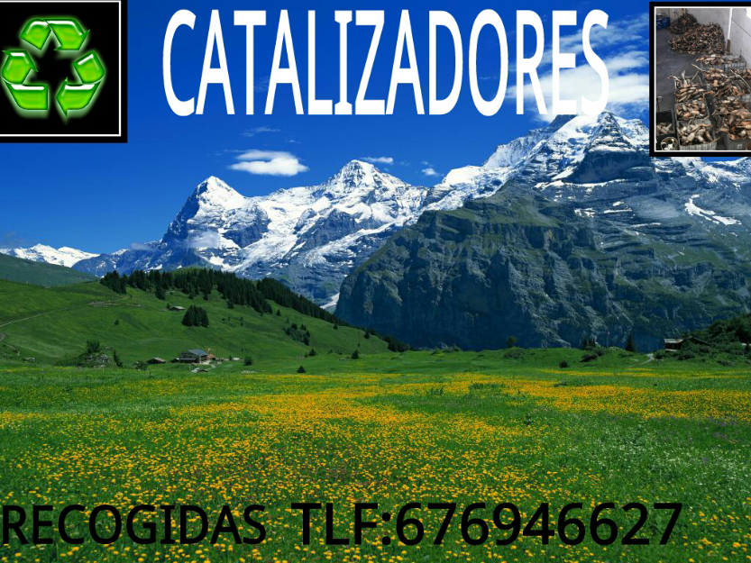 compra de catalizadores,precios actualizados,676946627