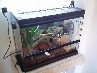 terrario  para reptiles medidas:50 larg x 40 alt x 25 prof