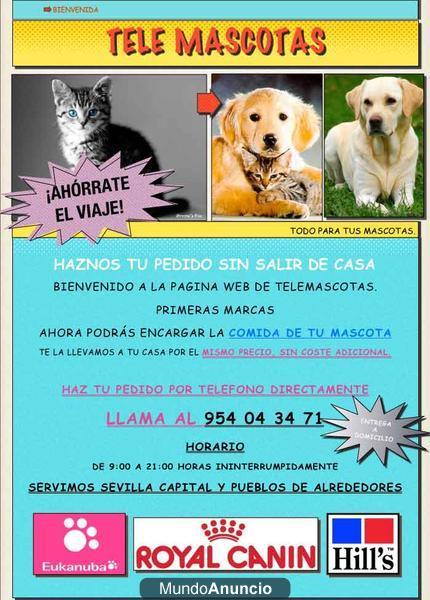 Alimentos y accesorios para su mascota sin salir de casa