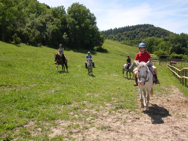 paseos y rutas a caballo