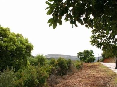 Terreno se vende en Benahavis, Costa del Sol