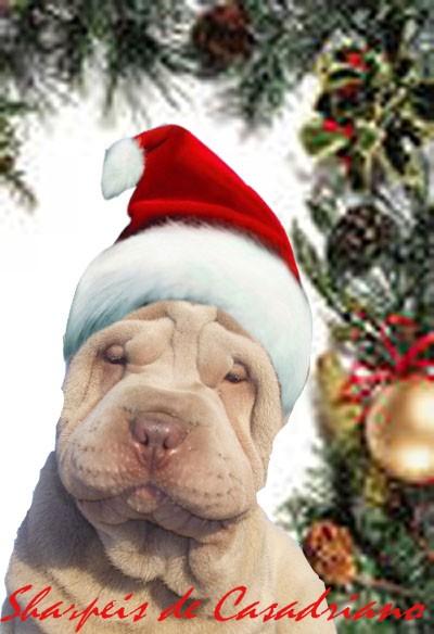 UN PAPA NOEL MUY ESPECIAL - CACHORRO SHAR PEI LILAC