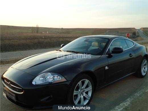 Jaguar Serie XK XK8 4.2 Coupe