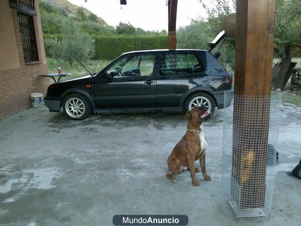 Se vende Volkswagen Golf serie 3 + piaggio zip con 4000 km.