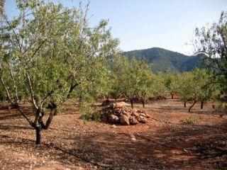 Finca/Casa Rural en venta en Restabal, Granada (Costa Tropical)