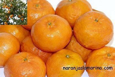 naranjas