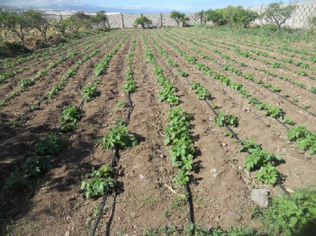 Finca rústica en San Cristóbal de La Laguna