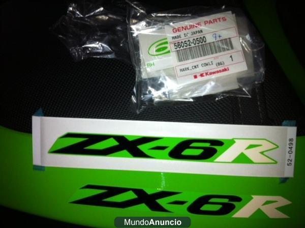 optica topes y estribera trasera ZX636 2005