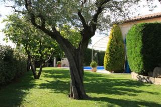 Villa : 4/4 personas - piscina - maussane les alpilles  bocas del rodano  provenza-alpes-costa azul  francia