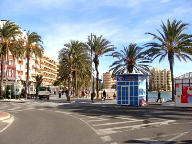 Bajo en Torrevieja