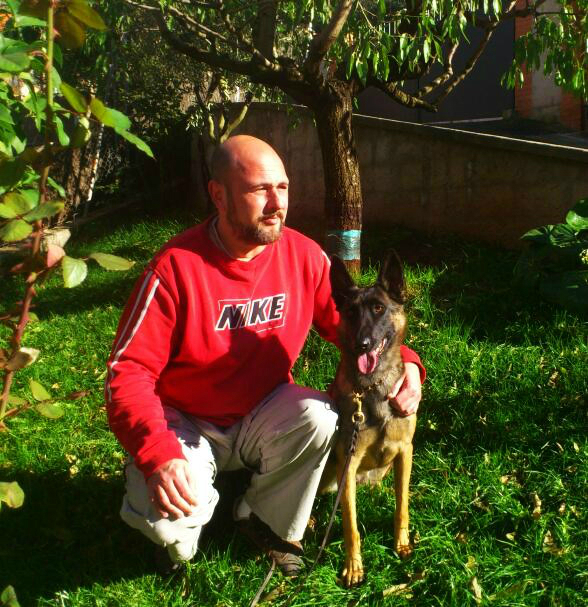 Pastores belgas malinois de navarkan