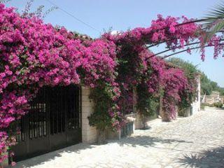 Finca/Casa Rural en venta en Sineu, Mallorca (Balearic Islands)