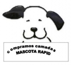 Compro camada de bichon maltes, yorkshire , caniche y pago contado - mejor precio | unprecio.es