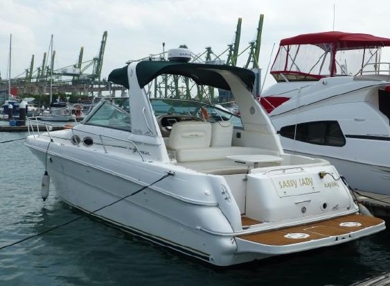 Sea Ray 310 Sundancer