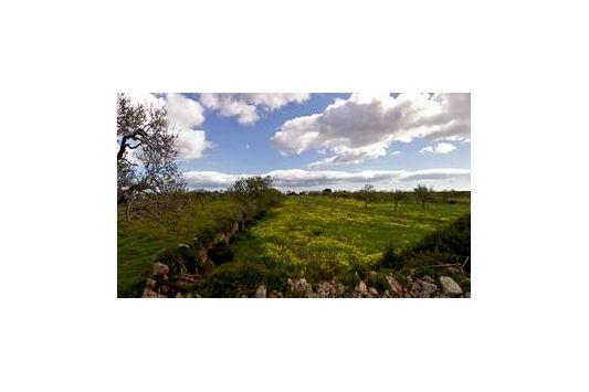 Finca En Venta en Santanyi, Mallorca