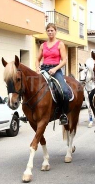 Pupilaje y doma de caballos en catral