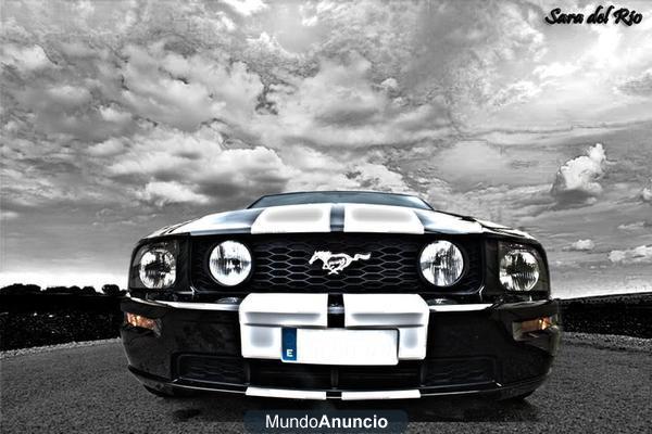 Ford Mustang GT Shelby