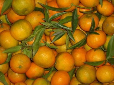 NARANJAS