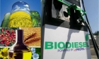 Se vende Maquina de bio diesel, - mejor precio | unprecio.es