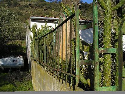 rejas en forja para muro exterior jardin