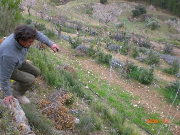 Busco socio para criar Burros pongo terreno y mano de obra