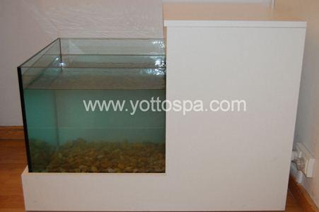 Spa de Ictioterapia con peces originales Garra Rufa