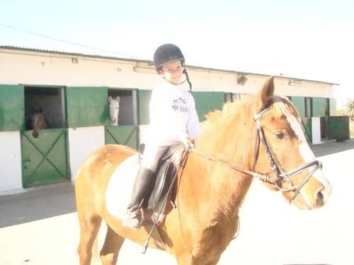 Aprende a montar a caballo! CLASES DE HÍPICA