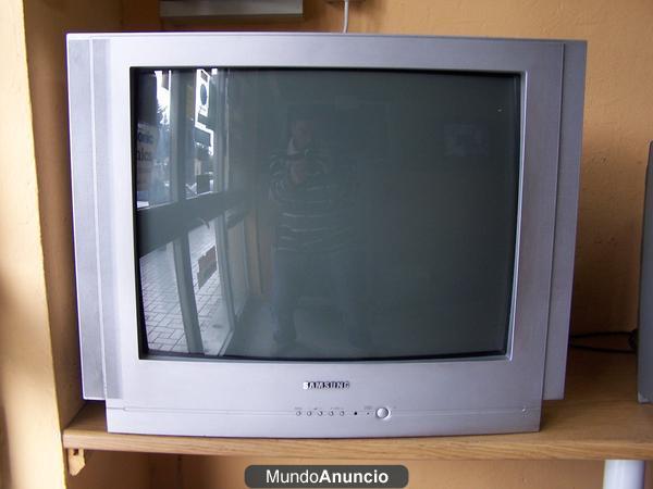 Vendo televisor samsumg 28