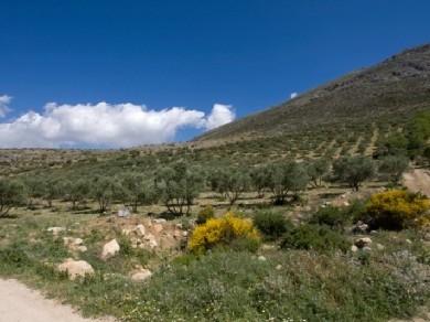 Terreno se vende en Periana, Axarquia