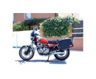 YAMAHA XJ 550 - mejor precio | unprecio.es