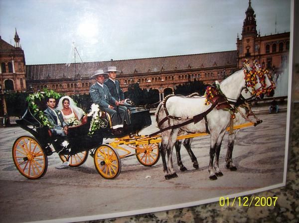 BODAS EN COCHE DE CABALLOS