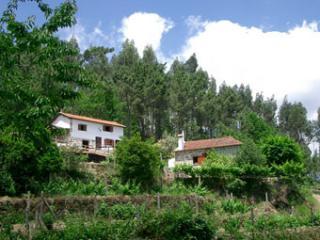 Casa rural : 4/5 personas - piscina - sao pedro do sul  beiras  portugal