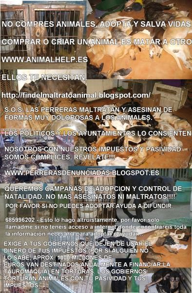 PAGINAS WEB ECONOMICAS DESDE BARCELONA PARA EL MUNDO. - DIFUSION POR FAVOR: NO COMPRES ANIMALES, ADOPTA Y SALVA VIDAS!