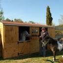 box para caballos