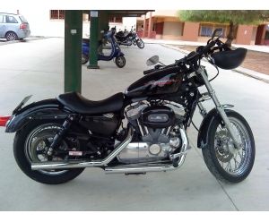 HARLEY DAVIDSON XL 883 SPORTSTER