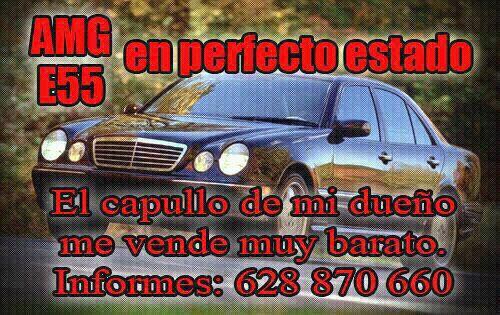 Amg auténtico muy guapo hermoso acepto cambio 628870660 antonela