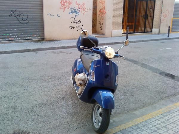 vespa, gran turismo 125 cc 12 cv 1500 klms