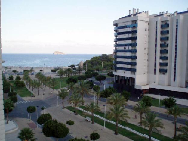 Apartamento en Benidorm