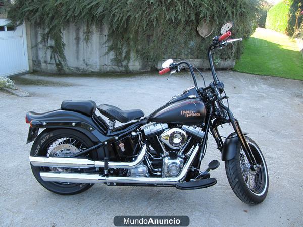 Harley Davidson softail cross bones