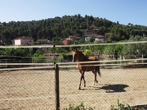 Finca rústica en Subirats