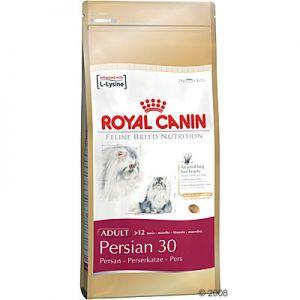 Pienso Royal Canin para gatos persas