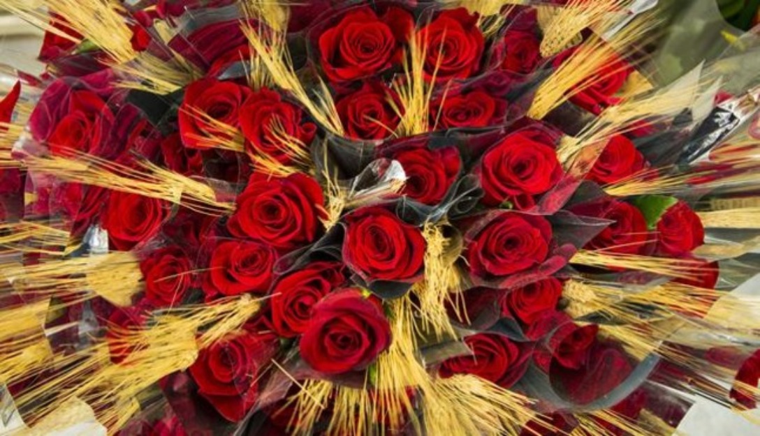 Venta de rosas para sant jordi