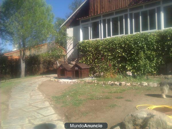 Residencia/Alojamiento Canina Familiar, Mascotax